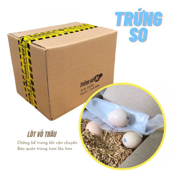 S50 – hộp 50 trứng gà ác so QTG