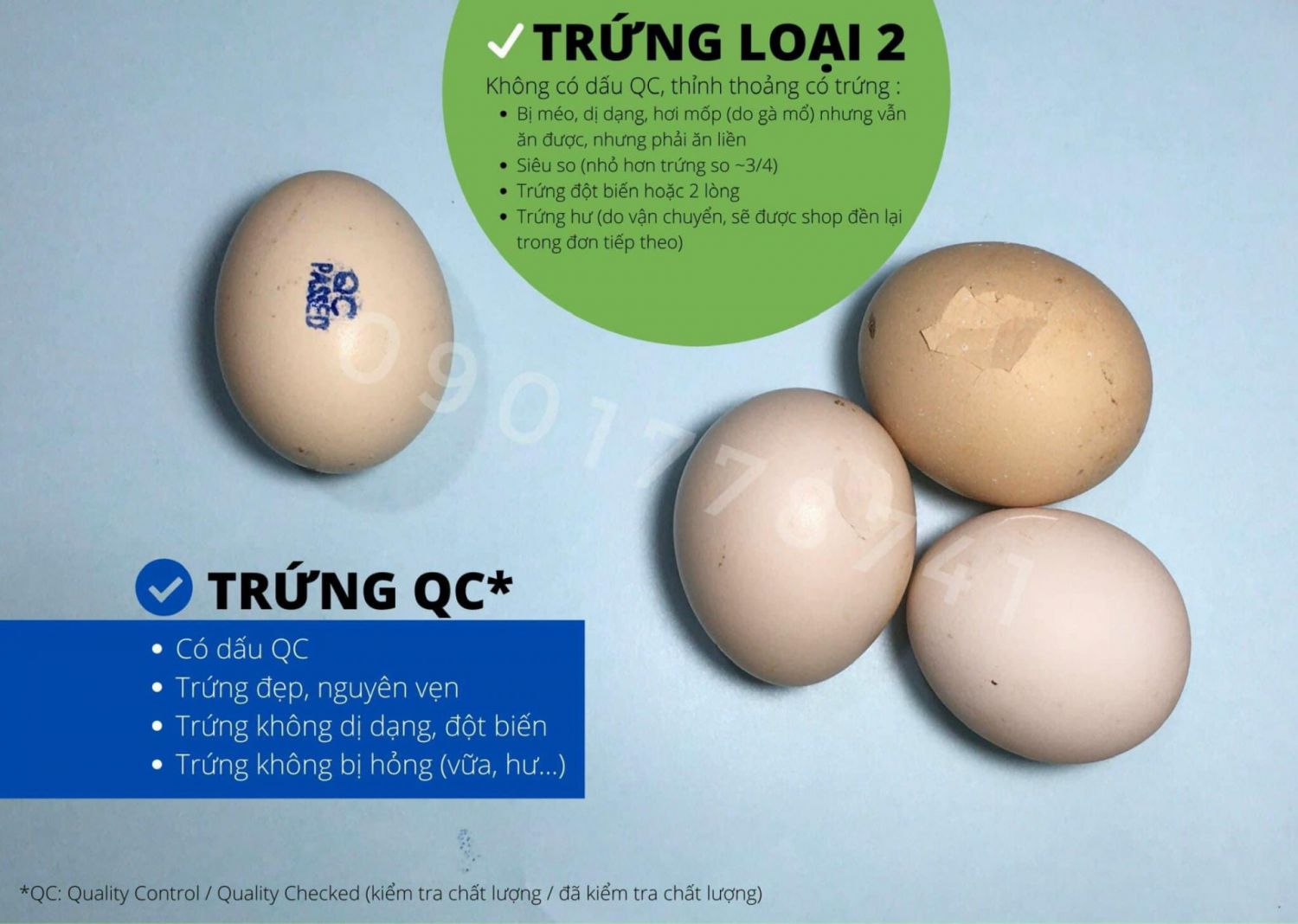 So sánh trứng loại 1 (QC) và trứng loại 2 (không QC)