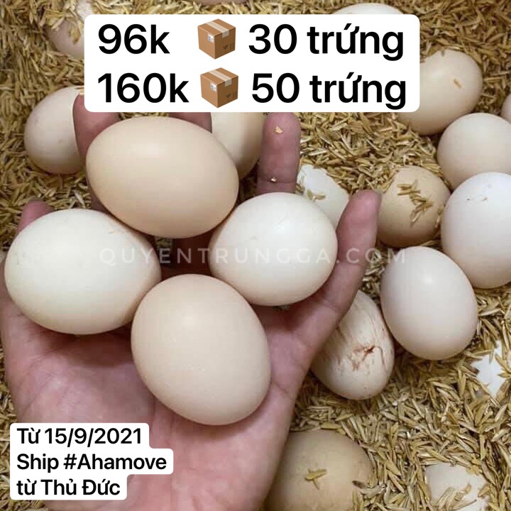 Giá trứng gà ác từ 15/9/2021