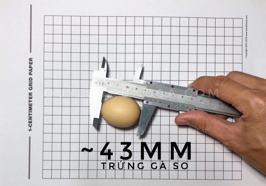 Chiều dài trứng gà ác so khi đo từ hai đỉnh của quả trứng.