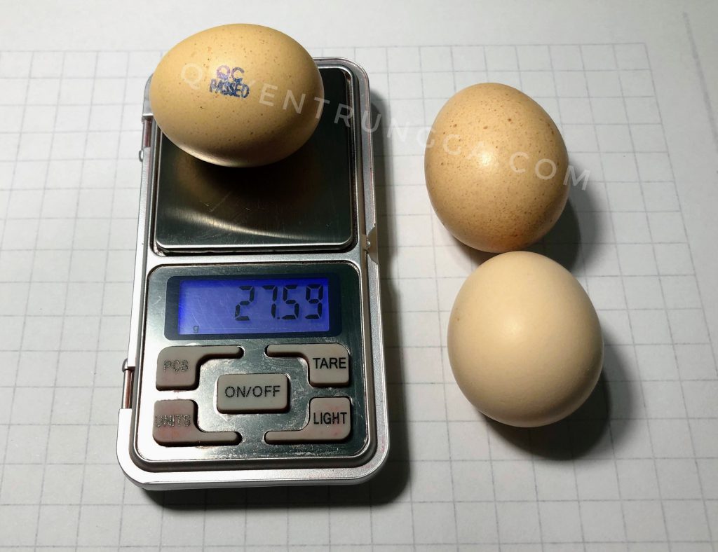 Trọng lượng trung bình của trứng gà ác so 