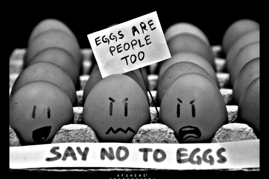 Vegan – nói không với trứng gà