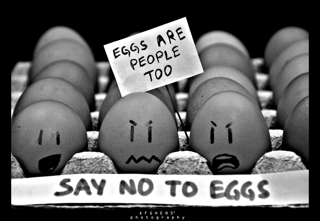 VEGAN: 9 lý do không nên ăn trứng gà (phần 2)