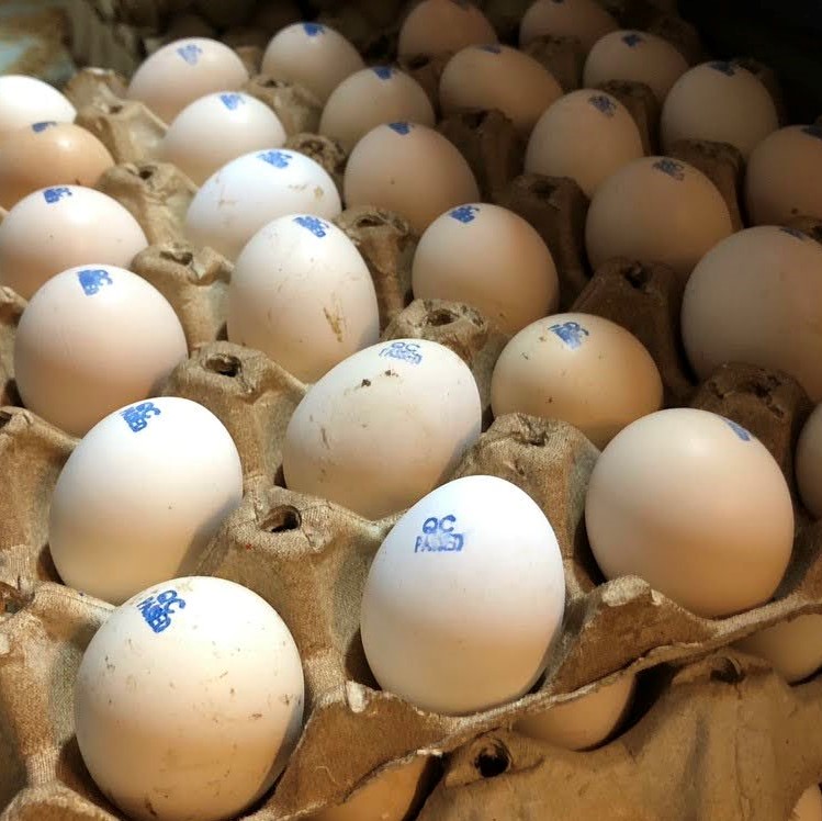 Vỉ giấy tái chế (đã được sấy khô) chứa 30 trứng gà ác