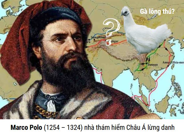 Marco Polo – nhà thám hiểm phát hiện ra gà ác tại Trung Quốc