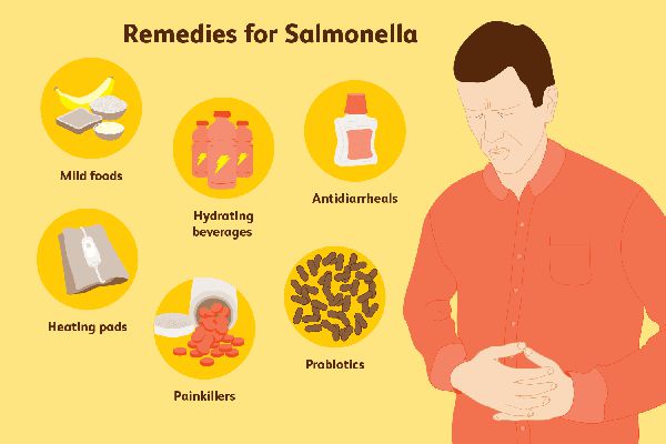 Vi khuẩn Salmonella