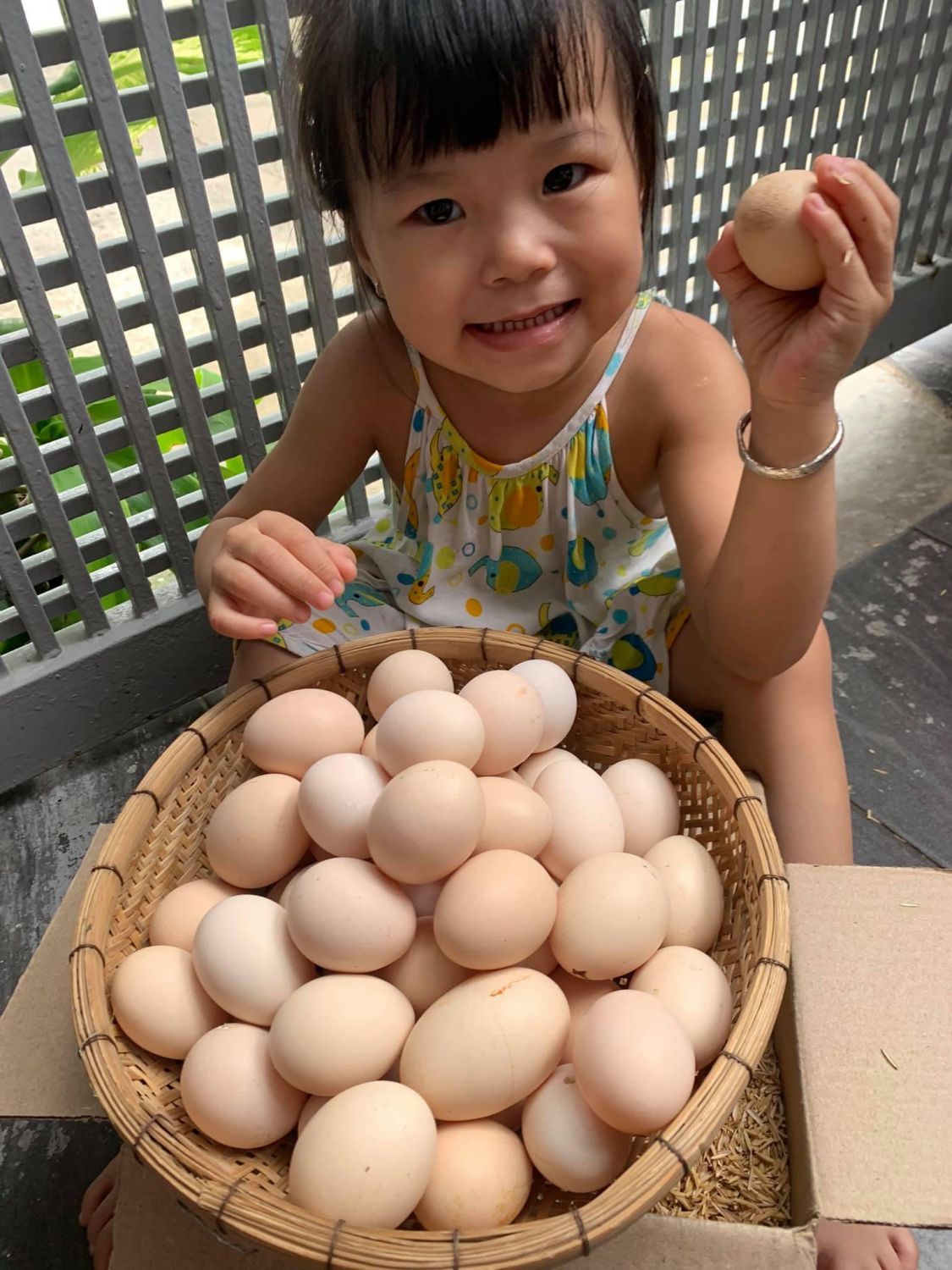 Silkie eggs are one of nature's most nutrient-dense foods, packed with vitamins and minerals that are essential for good health