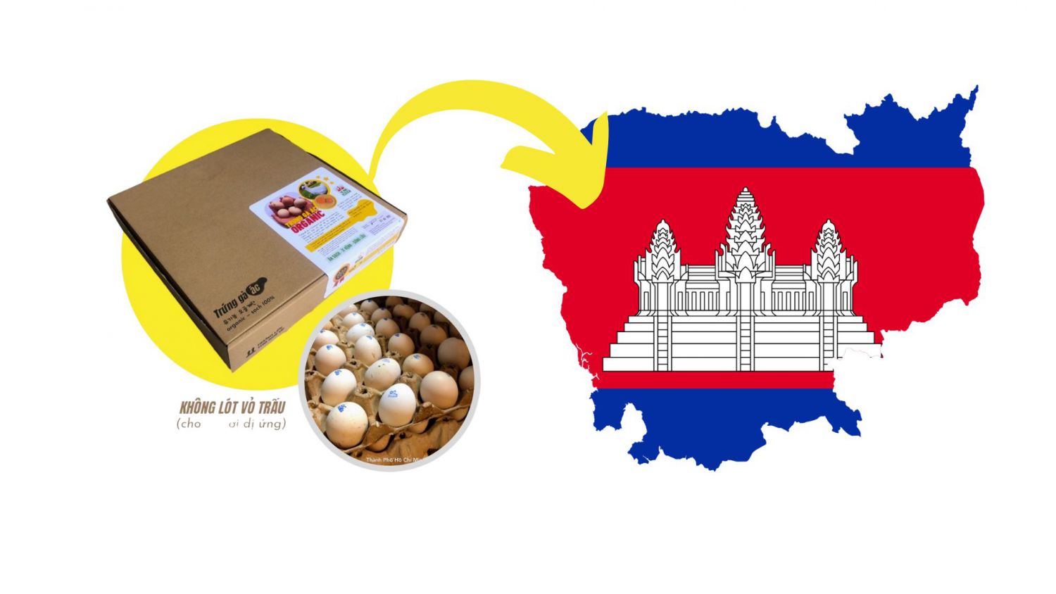 캄보디아 프놈펜의 실키 계란 유통을 위한 파트너십 기회