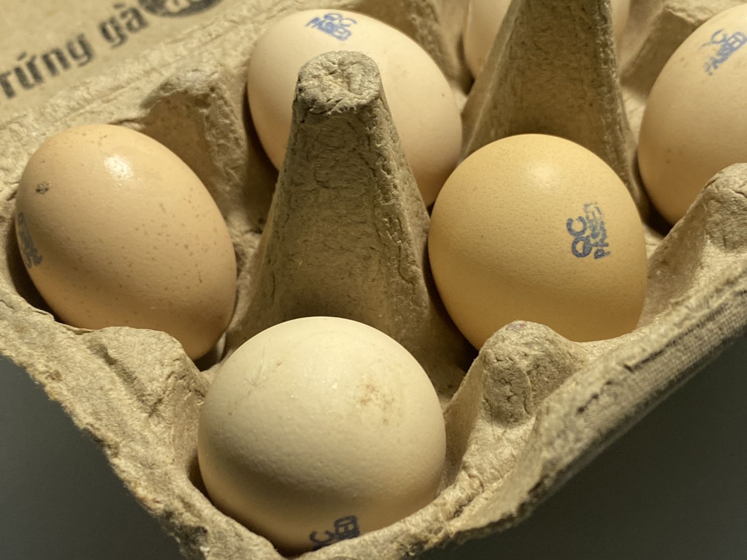 FAQ: What is silkie egg?