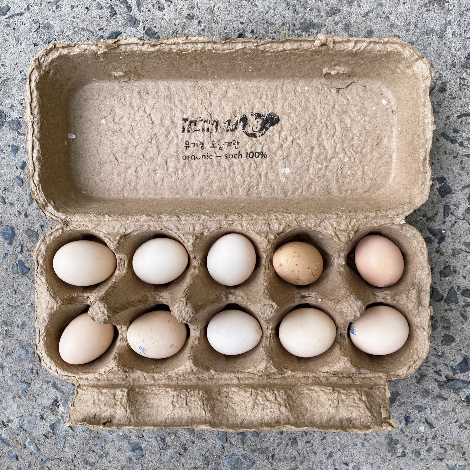 Nghiên cứu chi tiết về nguyên nhân gây ra màu của vỏ trứng ở giống gà nói riêng và loài chim nói chung