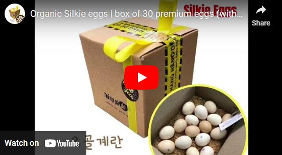 VIDEO: Unboxing the Charm of Silkie Egg Packaging