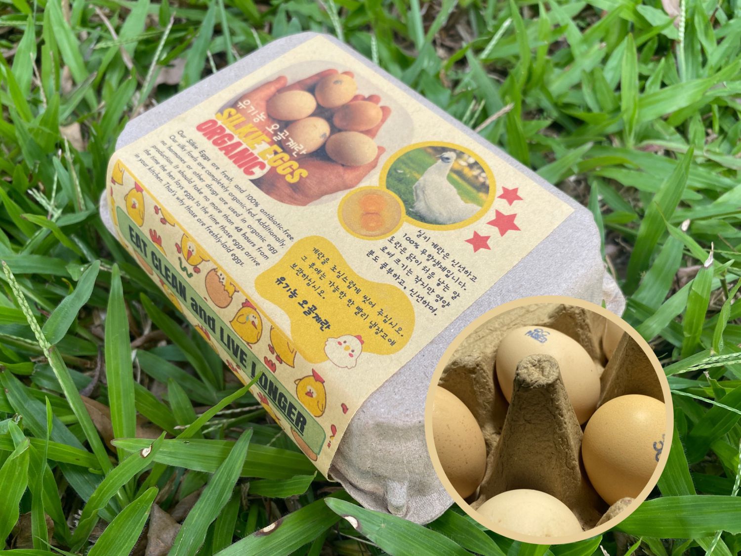 Khuyến mãi tặng thêm 10 trứng gà ác cho mỗi hai hộp bất kỳ • 2/2023