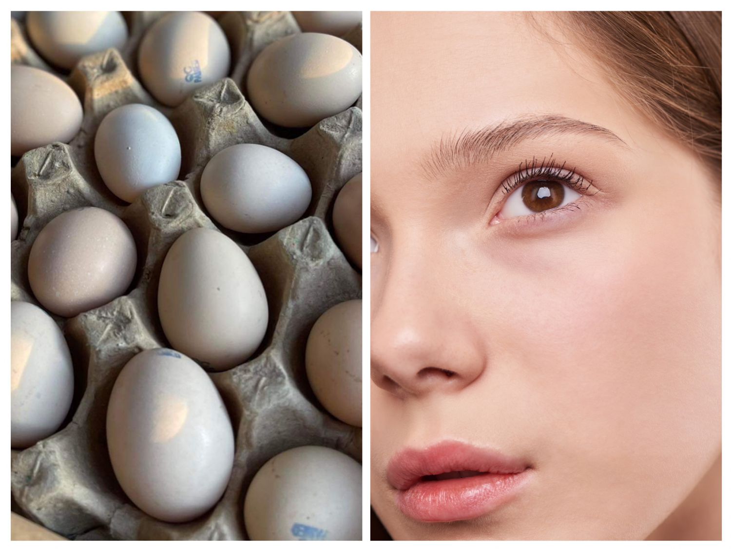 Bí quyết làm đẹp từ trứng gà ác: Cách chăm sóc da khỏe mạnh và rạng rỡ (mặt nạ trứng gà)