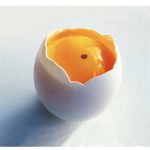 Đừng lo lắng khi gặp trứng có vết máu: Đây là những điều bạn cần biết