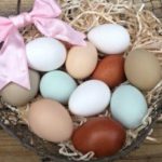 Các giống gà đẻ ra những quả trứng có màu sắc đẹp mắt