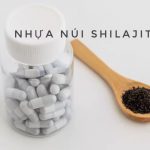 Nhựa núi Shilajit - Một loại thuốc thảo dược và khoáng chất trong Ayurveda