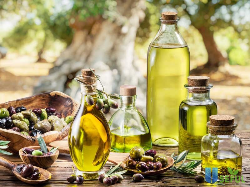22 tác dụng của dầu ô liu tốt cho sức khỏe, sắc đẹp, phòng ngừa bệnh