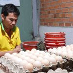 Advancing Avian Product Integrity: Upholding Egg Safety Protocols in the Vietnamese Agricultural Sector
