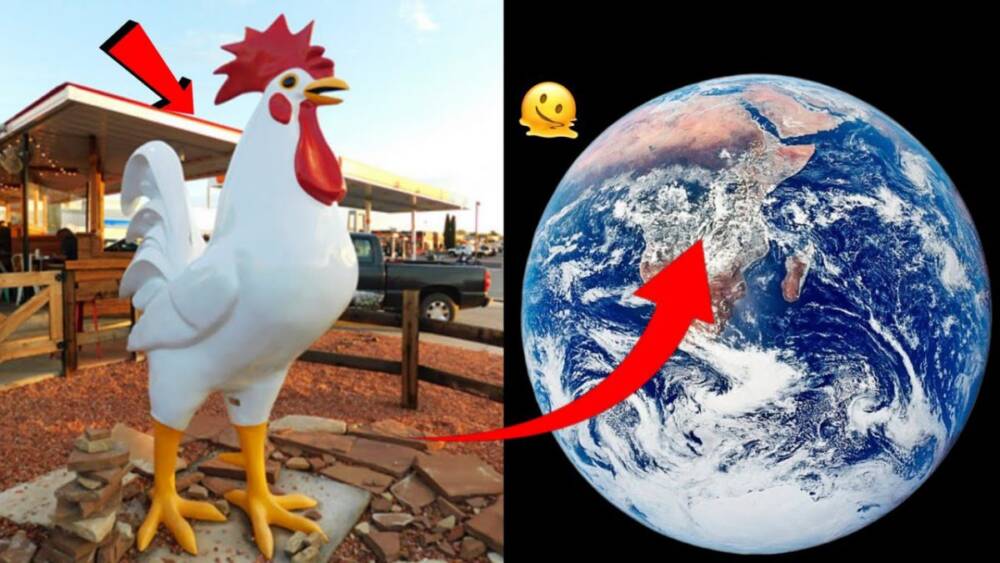 🤯I Found Giant Chicken on Google Maps and Google Earth!